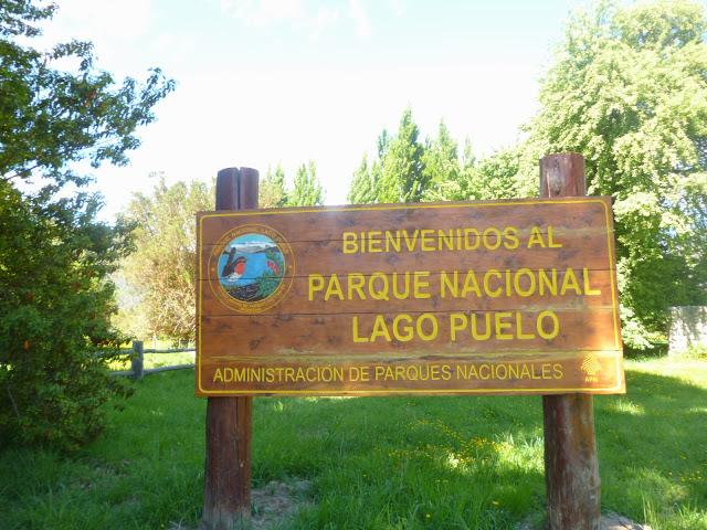 Resultado de imagen para parque nacional lago puelo