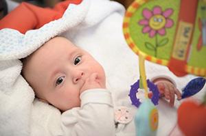 Apego a los juguetes Apego a los juguetes