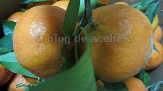 Comenaranjas.com Comenaranjas.com