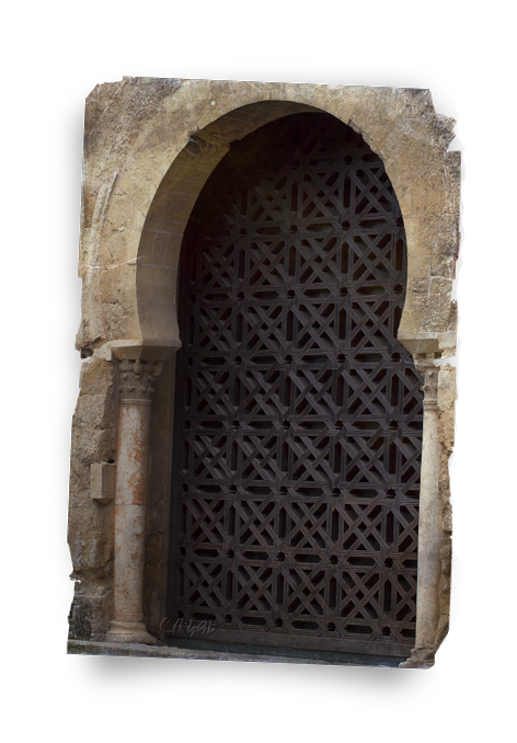 Mezquita de Córdoba -Patio-