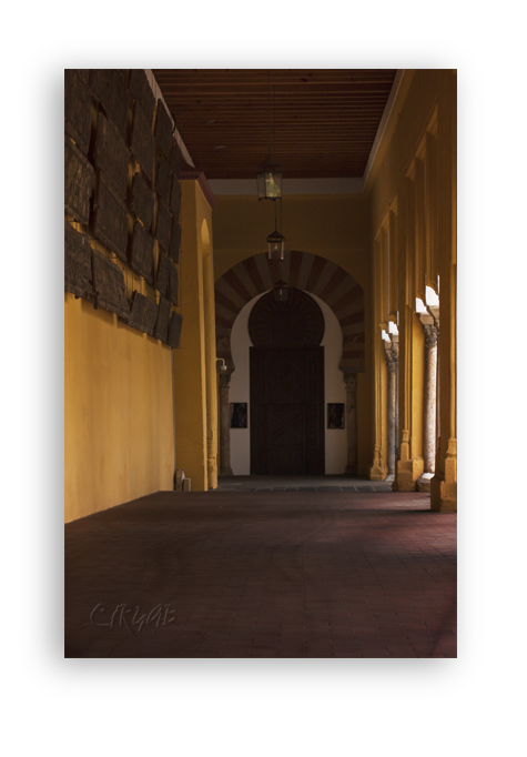 Mezquita de Córdoba -Patio-