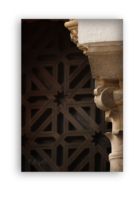 Mezquita de Córdoba -Patio-