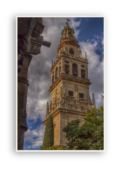 Mezquita de Córdoba -Patio-