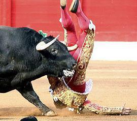 Un negocio de bolsillo Cogida López