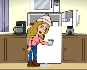 En Italia no existen las bolsas de hielo Haciendo hielitos en casa