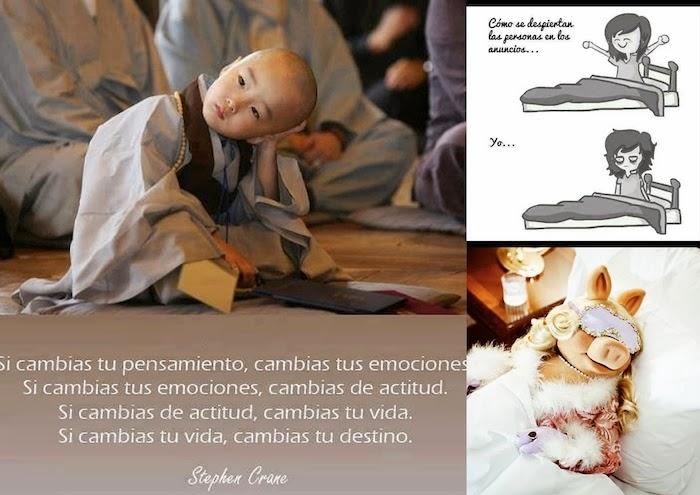 snapshots of the week 13 snapshots of the week 13