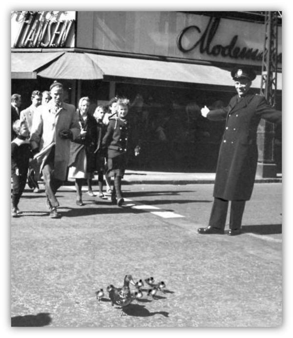 Historias en la madera thejujuhat - duck hans bolling