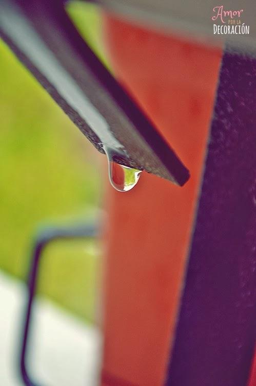 BLOG HOP! MACRO DEL DÍA... LLUEVE SOBRE MOJADO BLOG HOP! MACRO DEL DÍA... LLUEVE SOBRE MOJADO