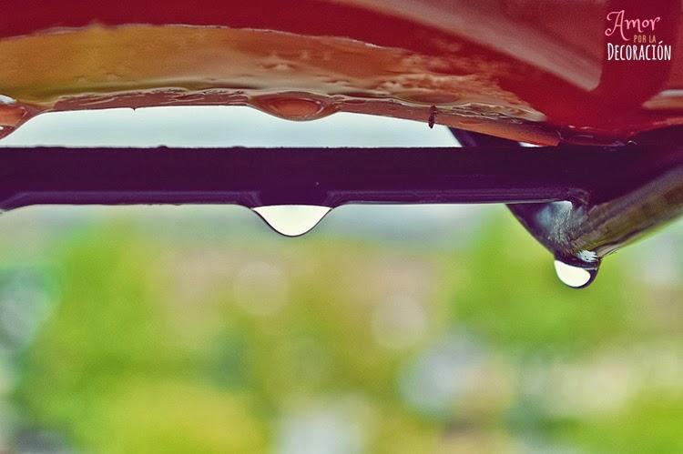 BLOG HOP! MACRO DEL DÍA... LLUEVE SOBRE MOJADO BLOG HOP! MACRO DEL DÍA... LLUEVE SOBRE MOJADO