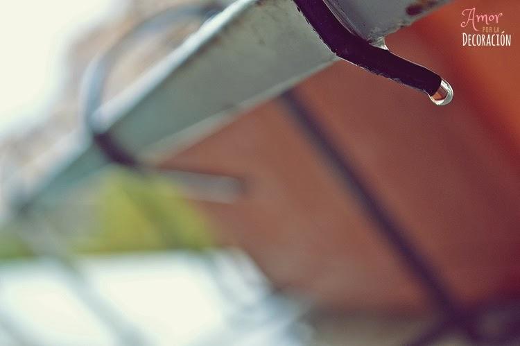 BLOG HOP! MACRO DEL DÍA... LLUEVE SOBRE MOJADO BLOG HOP! MACRO DEL DÍA... LLUEVE SOBRE MOJADO