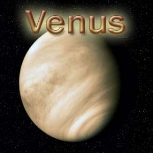 venusmain