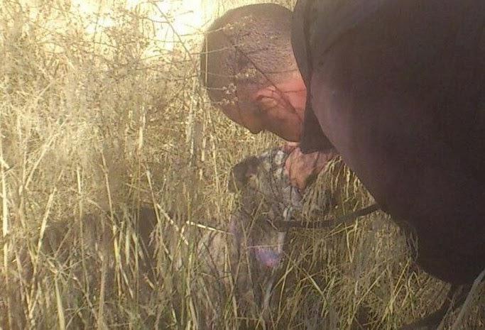 CENIZ, RESCATADA EN ESTADO LAMENTABLE. (JAÉN) CENIZ, RESCATADA EN ESTADO LAMENTABLE. (JAÉN)