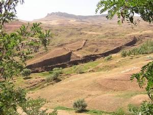 Noé: El Primer Emprendimiento de la Historia arca de noé