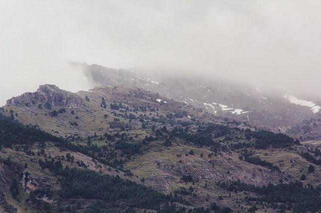 Nace ARBA Albacete Nace ARBA Albacete