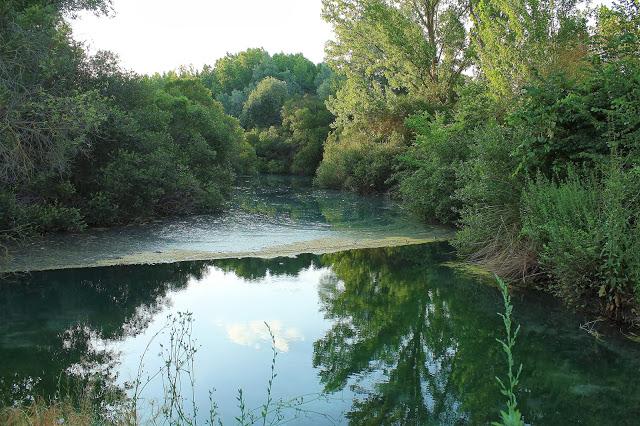 Nace ARBA Albacete Nace ARBA Albacete