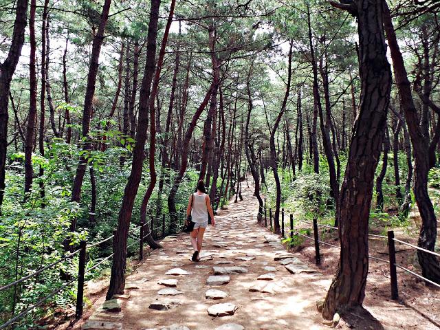 Excursión por el Monte Namsan, Gyeongju Excursión por el Monte Namsan, Gyeongju