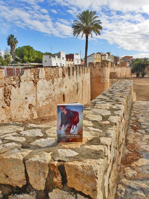 Un paseo por Alzira Alzira - Muralla medieval