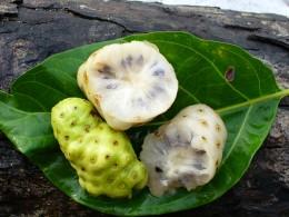 La fruta de Noni La fruta de Noni