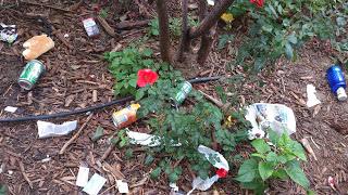 Huelga de la basura en Madrid, 2ª parte. Huelga de la basura en Madrid, 2ª parte.