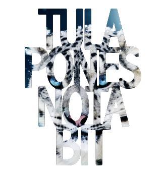 ENTREVISTA NOTABIT VS TULA PONES ENTREVISTA NOTABIT VS TULA PONES