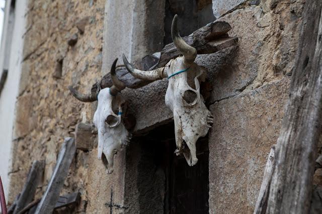 El camin encantado.Fotografía Patricia García de Muro. Un...