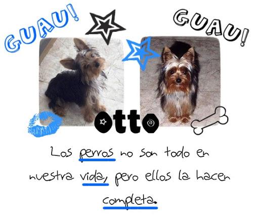 Os presento a mis mascotas #2 (Mi perrito Otto) Os presento a mis mascotas #2 (Mi perrito Otto)