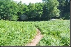 Saratik Zugarramurdira kontrabandisten bidea, 15 de Agosto de , 2013- - 21 Saratik Zugarramurdira kontrabandisten bidea, 15 de Agosto de , 2013- - 21