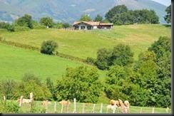 Saratik Zugarramurdira kontrabandisten bidea, 15 de Agosto de , 2013- - 37 Saratik Zugarramurdira kontrabandisten bidea, 15 de Agosto de , 2013- - 37