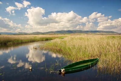 Ahorrar agua en Tablas de Daimiel ‘vital’ para el futuro inmediato Ahorrar agua en Tablas de Daimiel ‘vital’ para el futuro inmediato