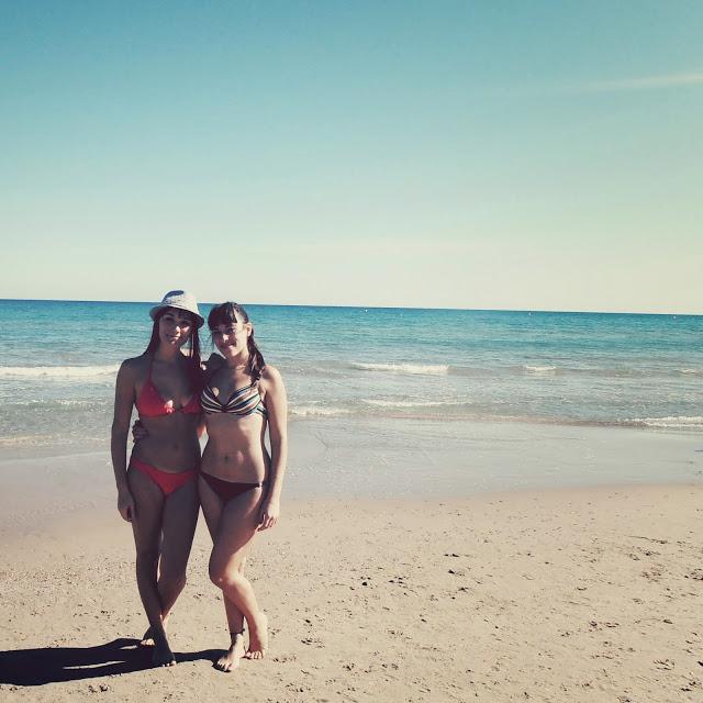 Snapshot November Snapshot November