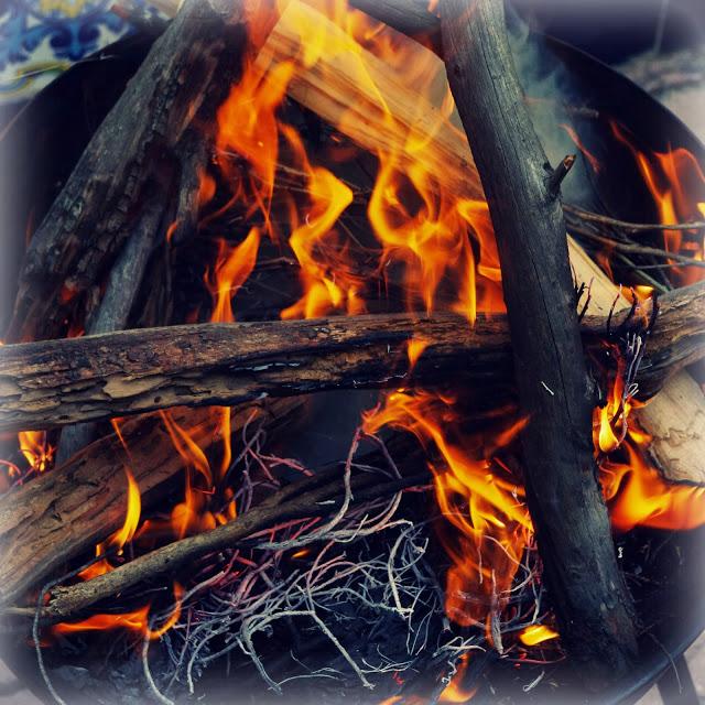 Snapshot November Snapshot November