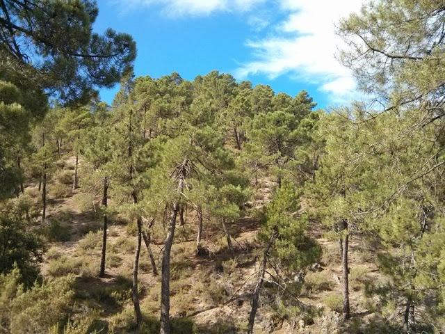 La Sierra de Segura de Jaen