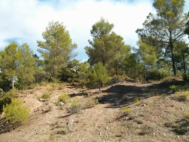 La Sierra de Segura de Jaen