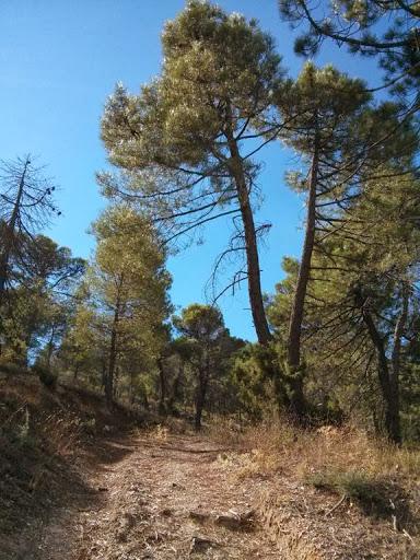 La Sierra de Segura de Jaen