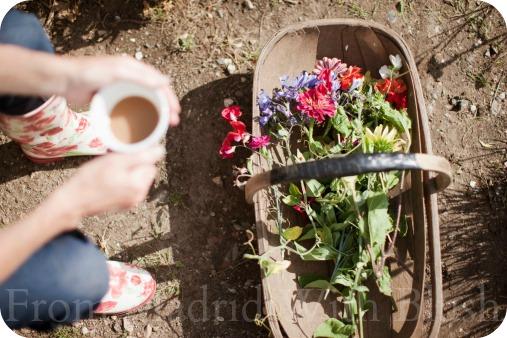 Be Natural:  Cómo llegar a las fiestas con una piel resplandeciente