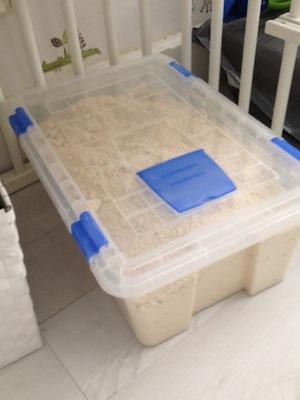 Arena casera para que los niñ@s jueguen en casa caja arena casera