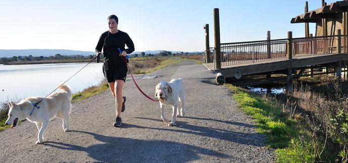 ¿Cómo correr con mi perro? corriendo con dos perros