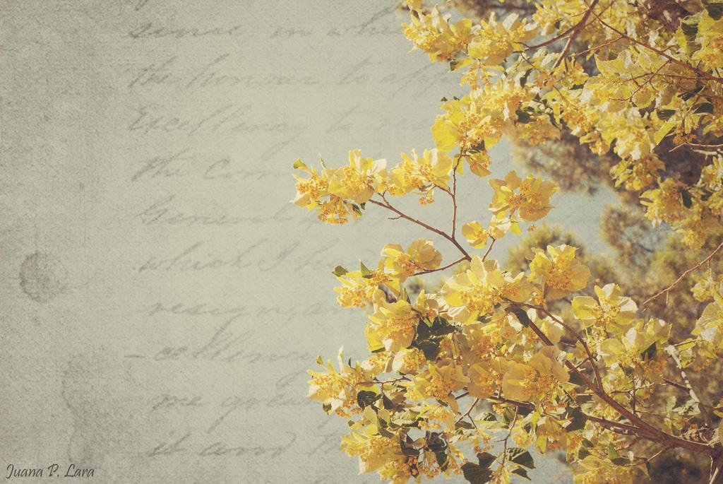Juana y Victoria, sorpresa en una calurosa tarde en Madrid. Fotografía de Juana Pérez