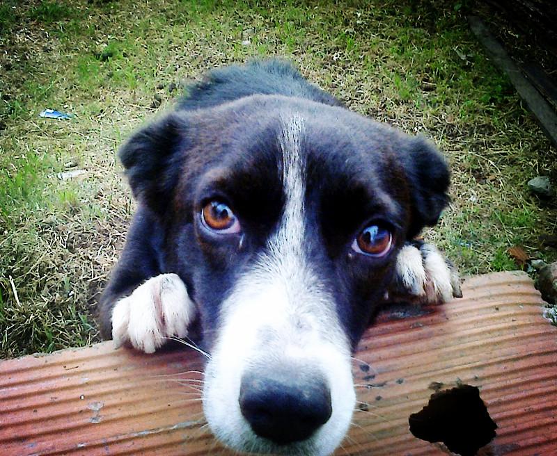 BKD Crema para peinar BKD Crema para peinar