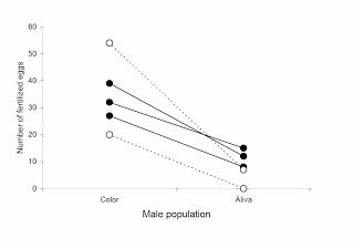 Los machos que compiten más entre ellos tienen mejor esperma Los machos que compiten más entre ellos tienen mejor esperma