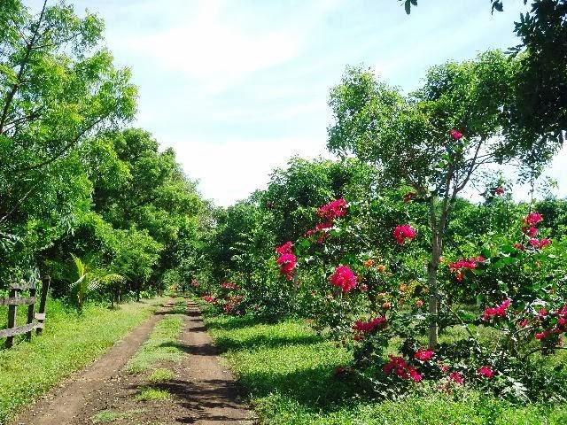 ¡Conociendo la histórica Hacienda Los Malacos/ Granada, Nicaragua!