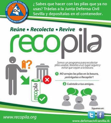 Programa Recopila. Programa Recopila.