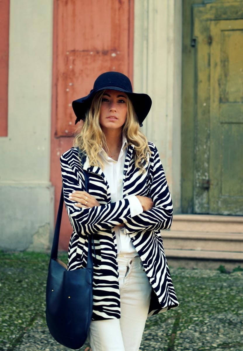 Zebra today Zebra today