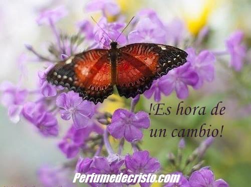 ESPERANDO A QUIEN VIENE … cambio