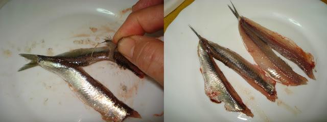 BOQUERONES EN VINAGRE