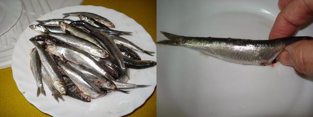 BOQUERONES EN VINAGRE