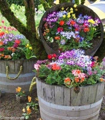 Ideas para tu jardín