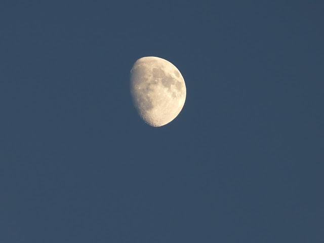 Su don naciente.. Su don naciente..