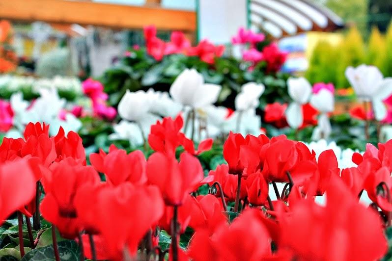 Abrigo camel Abrigo camel