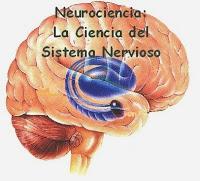 Resultado de imagen para que es la neurociencia